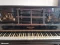 Tasación de Piano Pleyel París N° 13 93 96 – Evaluación por un Experto