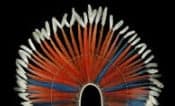 Tasación gratuita de tocados de plumas
