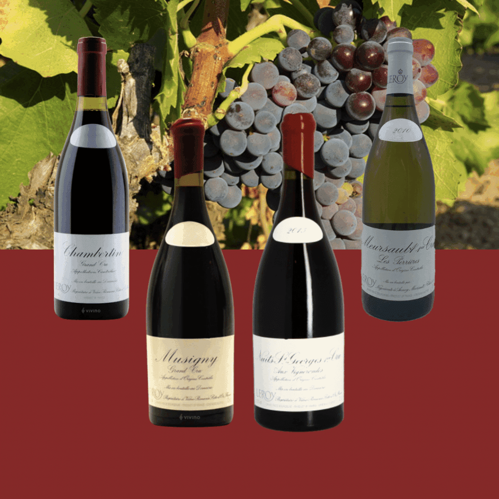 Vin Domaine Leroy
