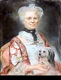 Tasación de Arte: Retrato en Pastel de Anne Beliard en Compañía de su Perro, una Obra Atribuida a Joseph Ducreux