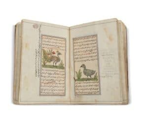 Libro ilustrado