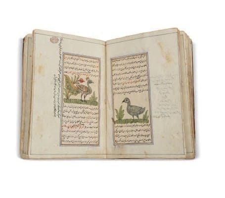 Tasación libro ilustrado gratuita