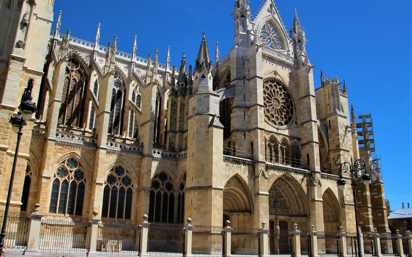 León
