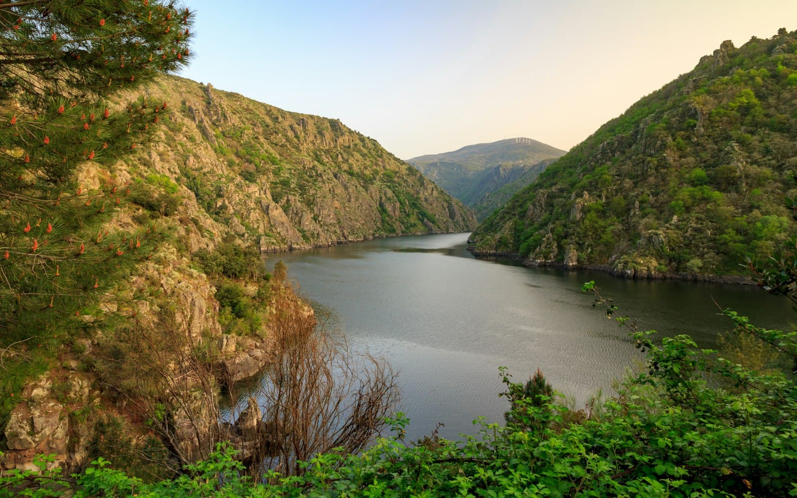 Ourense