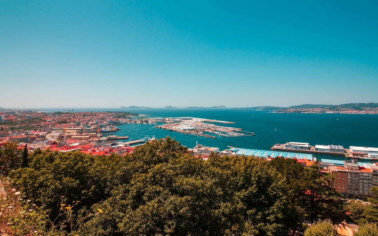 Vigo