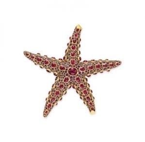 Estrella de mar René Boivin: peritaje y tasación Estrella de mar René Boivin: peritaje y tasación