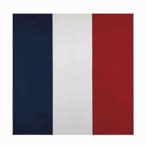 Drapeau Jean-Pierre Raynaud : peritaje y tasación Drapeau Jean-Pierre Raynaud : peritaje y tasación